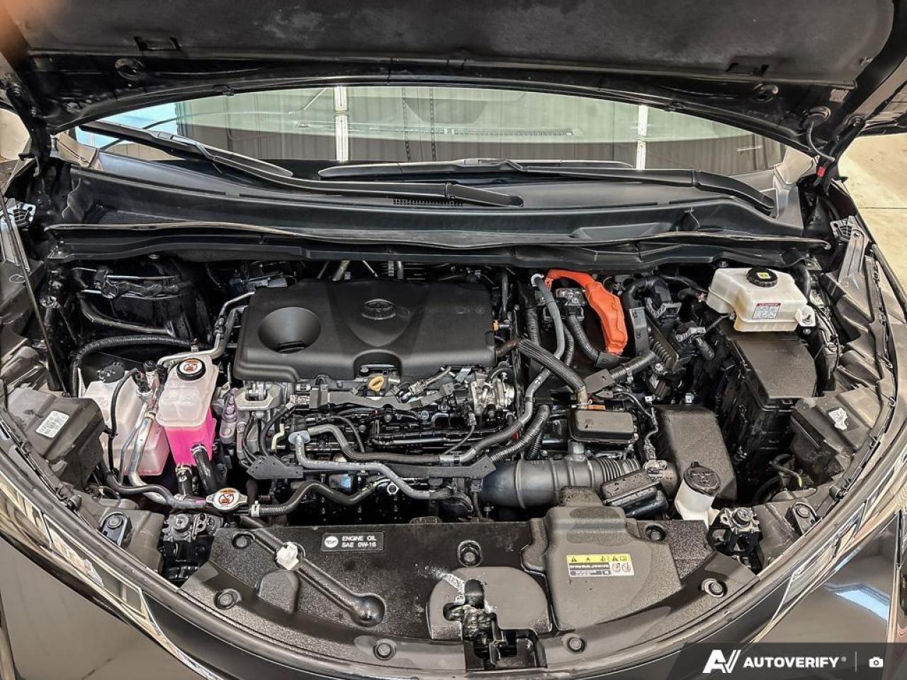 2024 Toyota Sienna  Photo