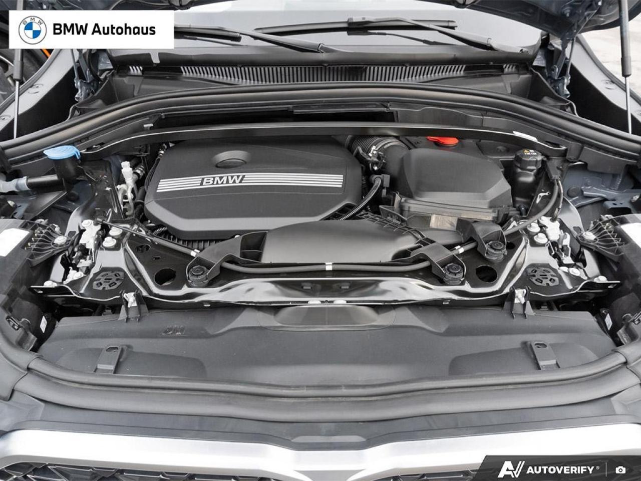 2025 BMW X2 xDrive28i Sports Activity Coupe Photo