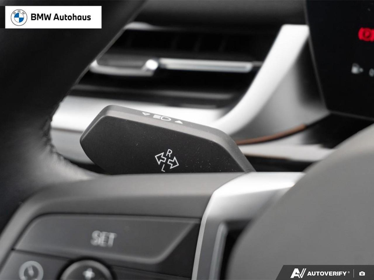 2025 BMW X2 xDrive28i Sports Activity Coupe Photo