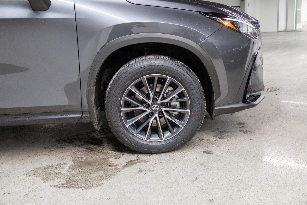 2026 Lexus NX 350h Lexus Certified Welcome Trades Photo