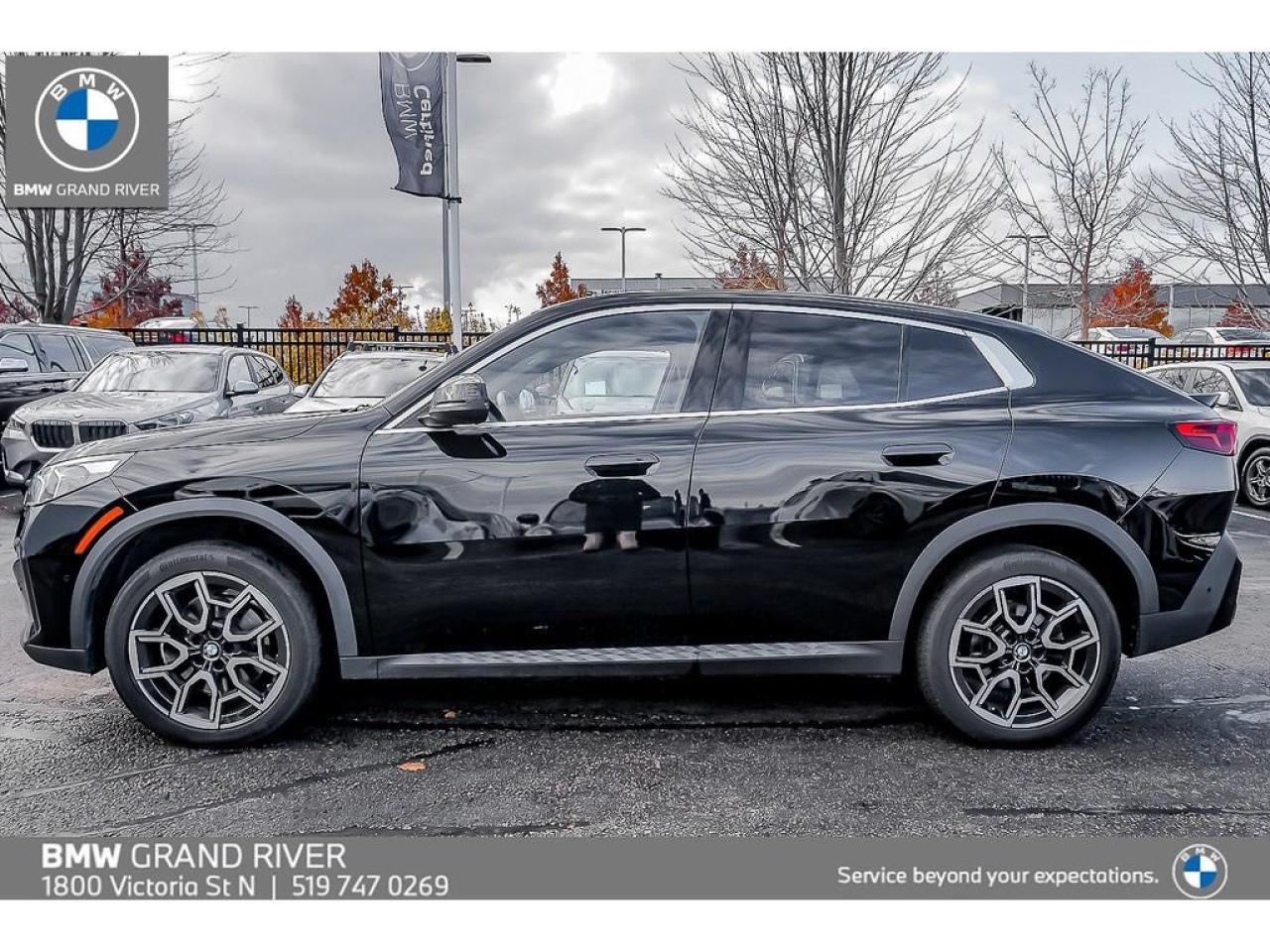 2025 BMW X2 xDrive28i 4dr All-Wheel Drive Sports Activity Coupe Photo