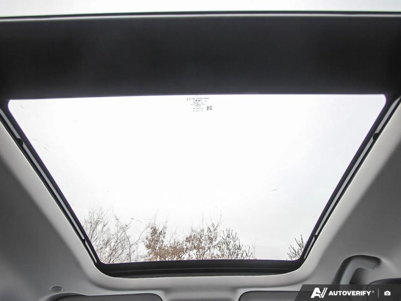 2021 Ford Escape SEL 4dr All-Wheel Drive Photo