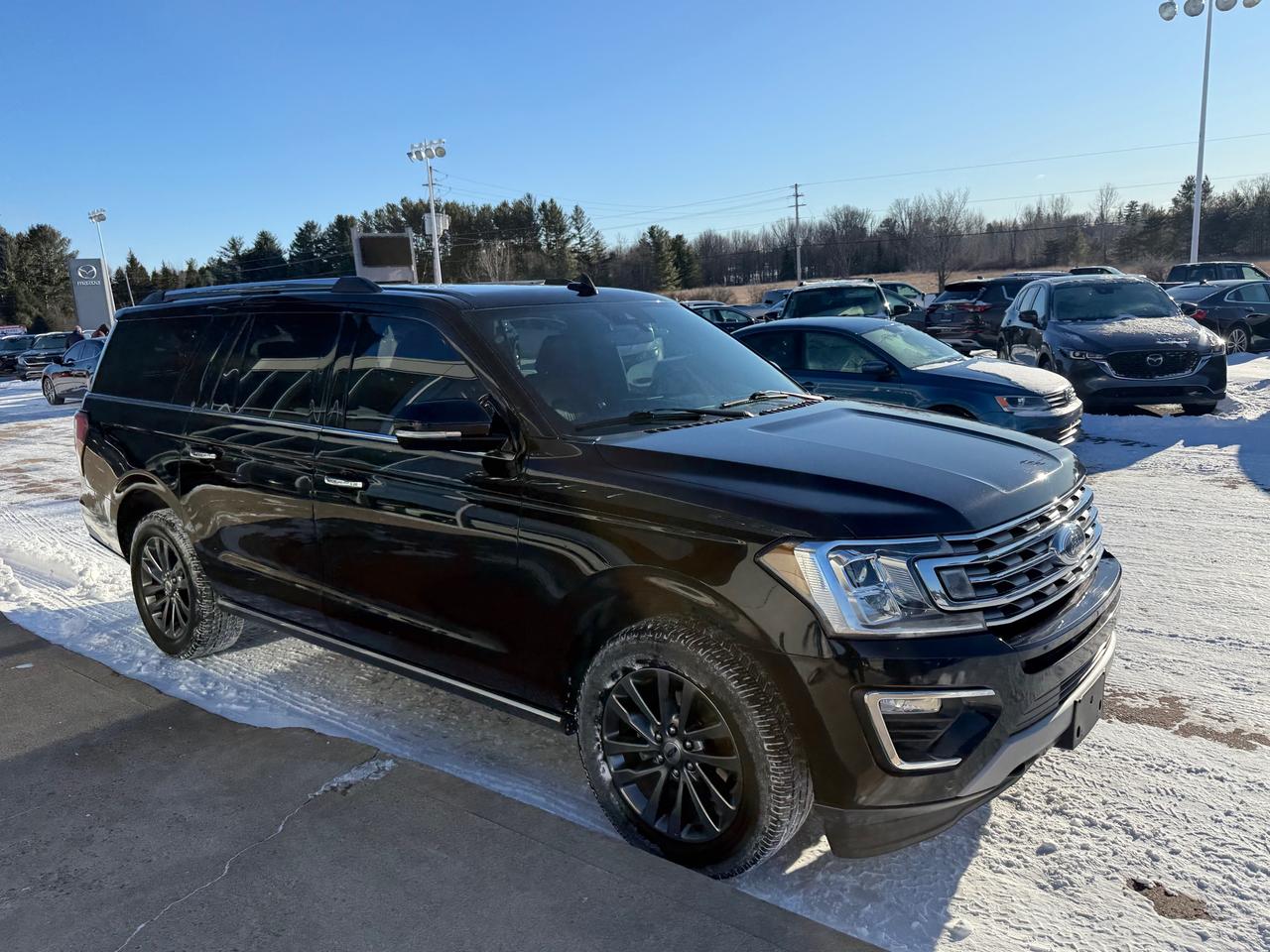 2021 Ford Expedition Max Limited 4dr 4x4 Photo