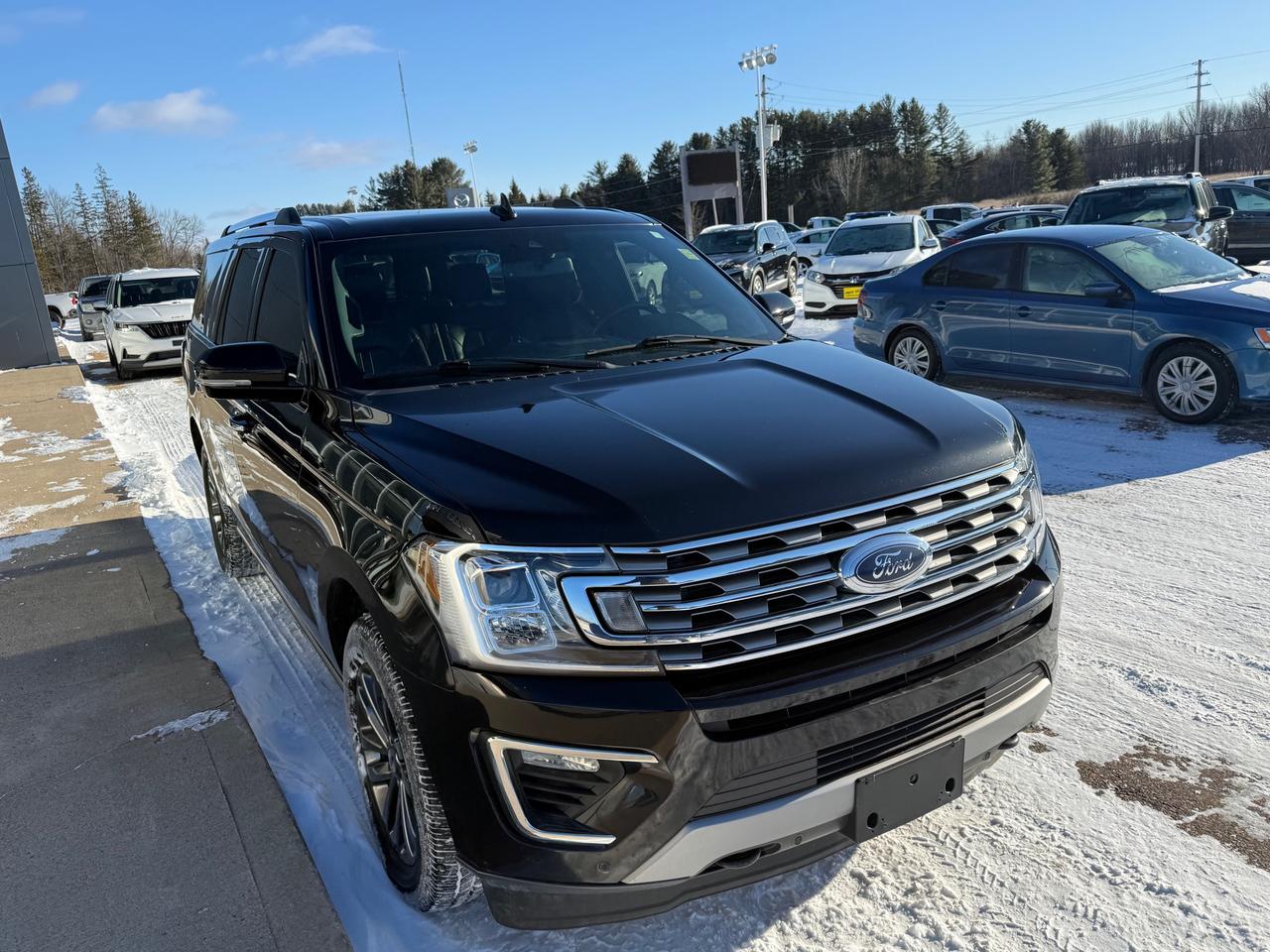 2021 Ford Expedition Max Limited 4dr 4x4 Photo