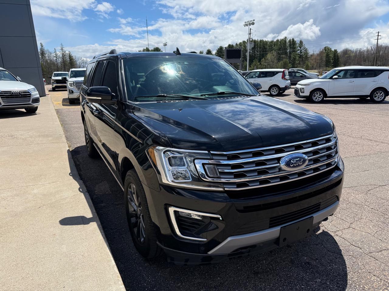 2021 Ford Expedition Max Limited 4dr 4x4 Photo