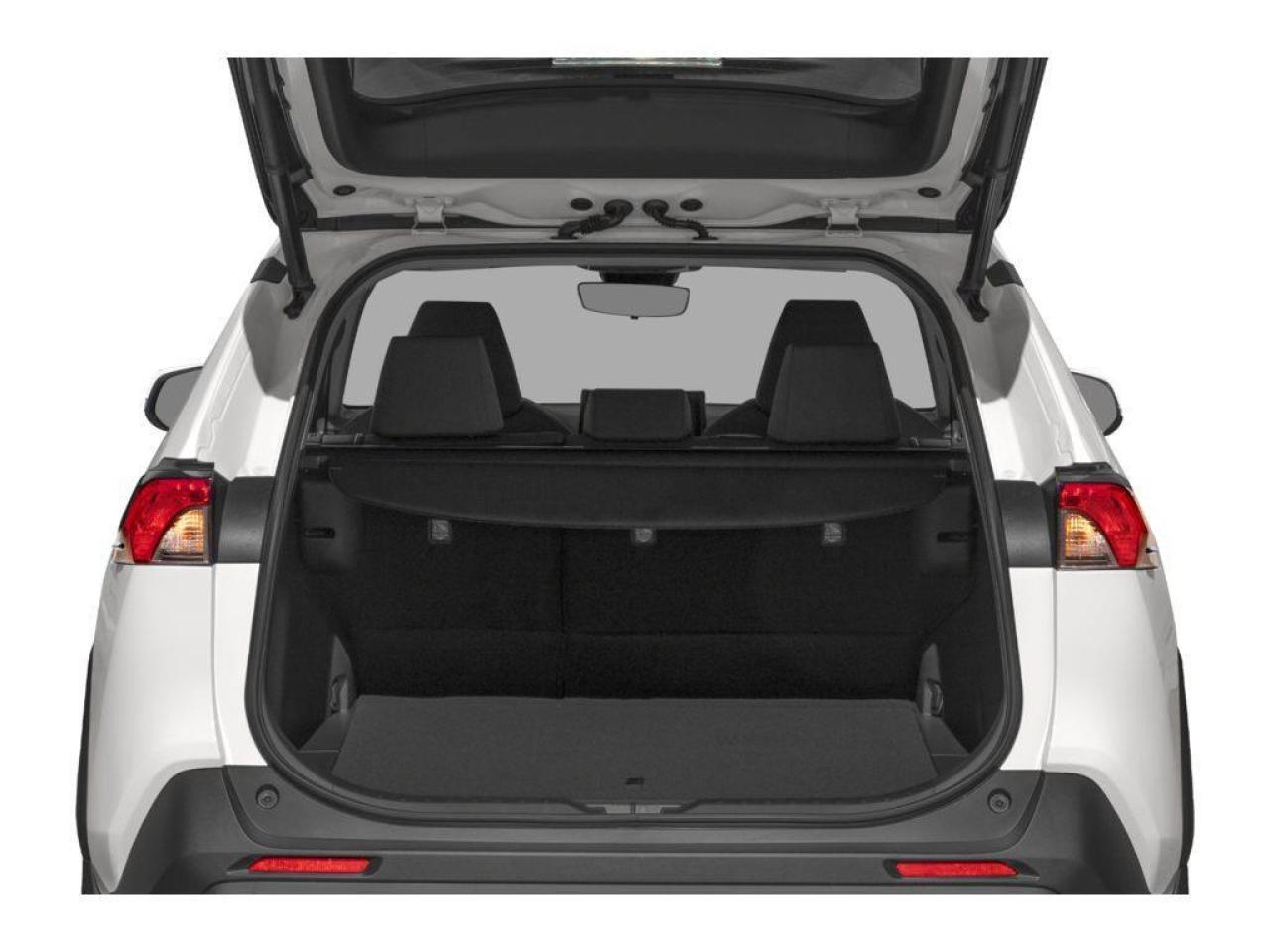 2022 Toyota RAV4 XLE Photo