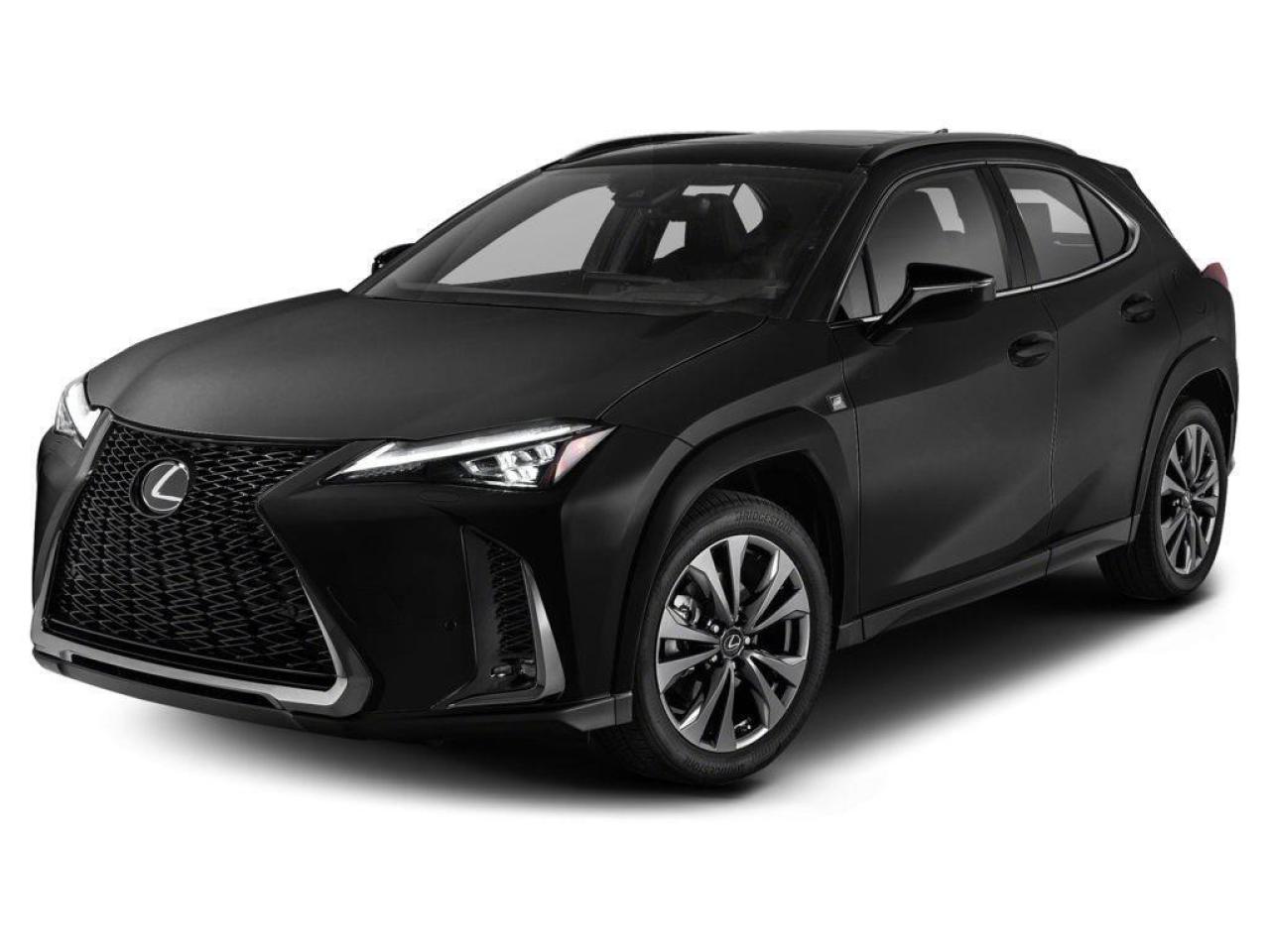 2024 Lexus UX 250H  Photo0