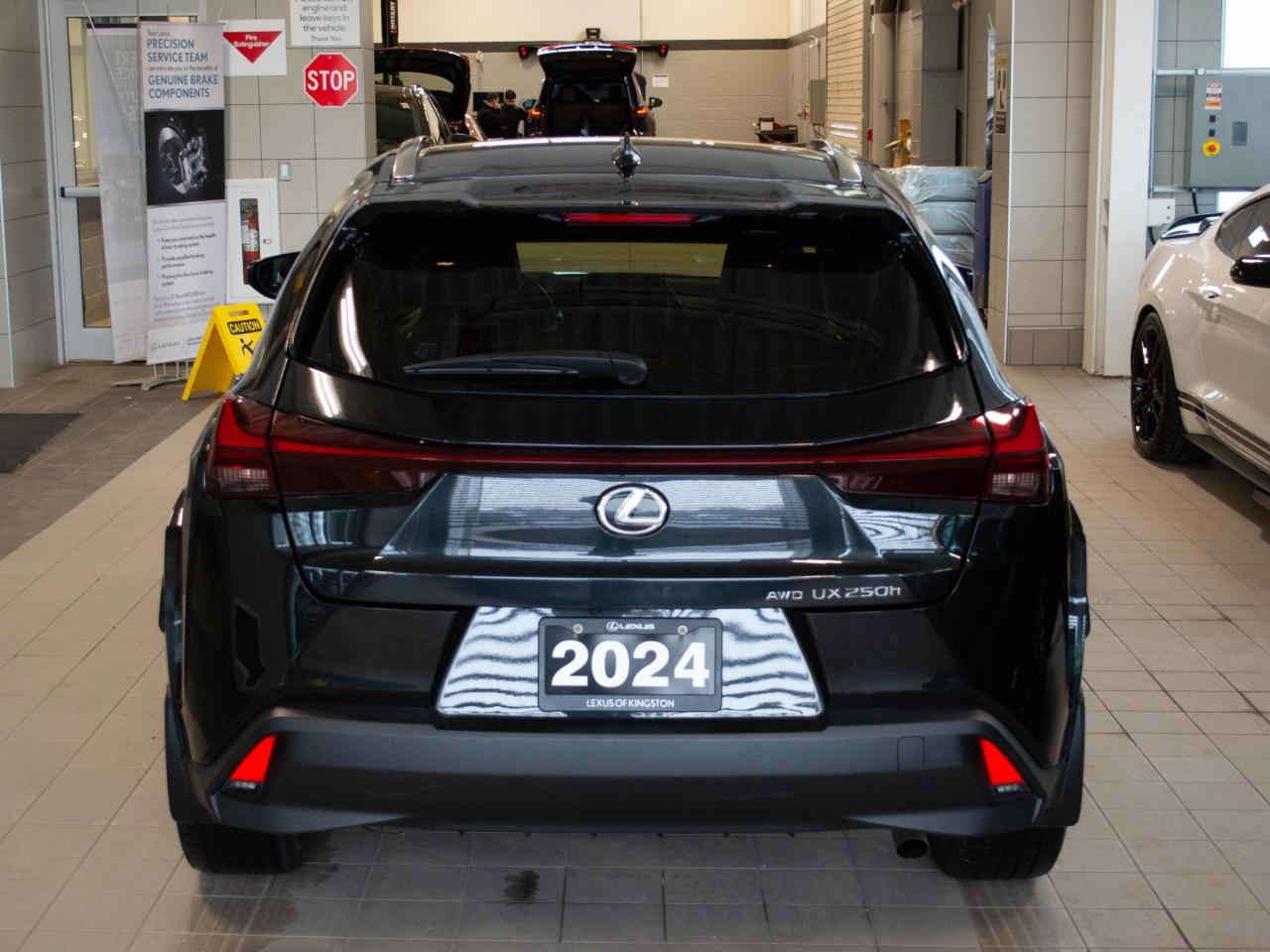 2024 Lexus UX 250H  Photo
