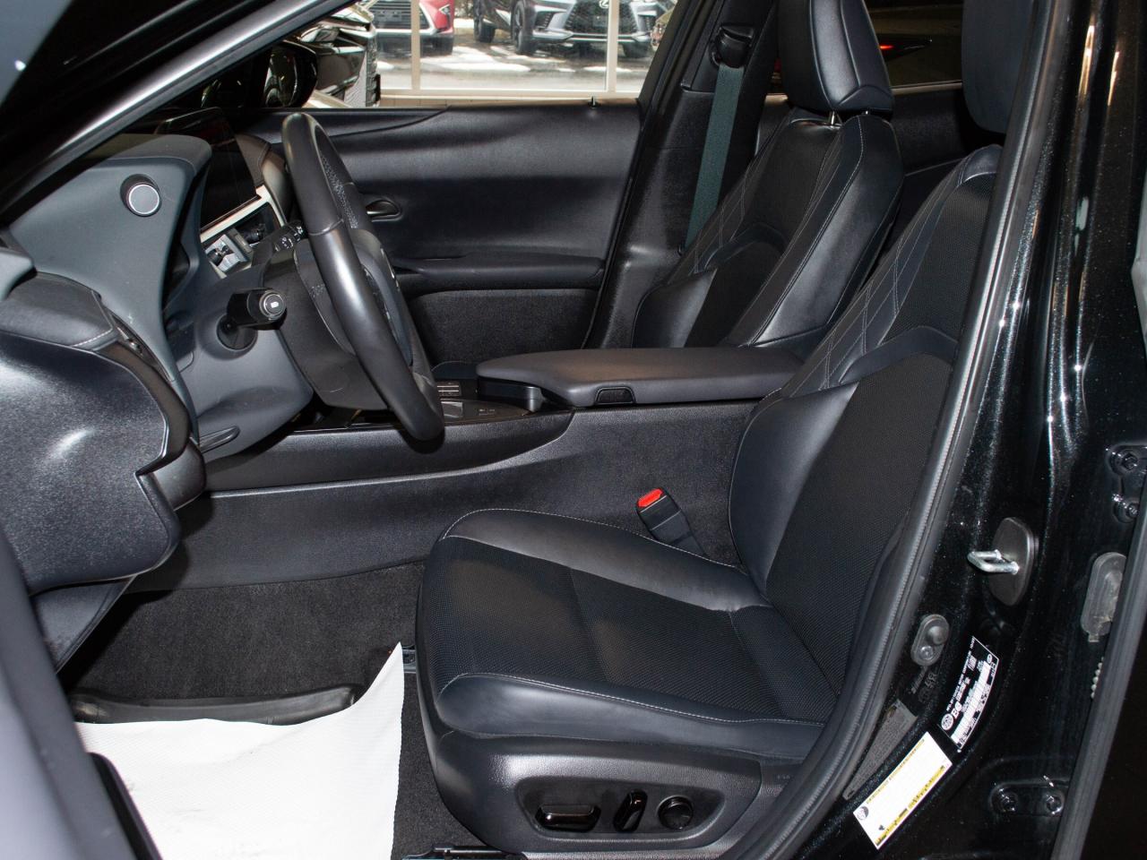 2024 Lexus UX 250H  Photo