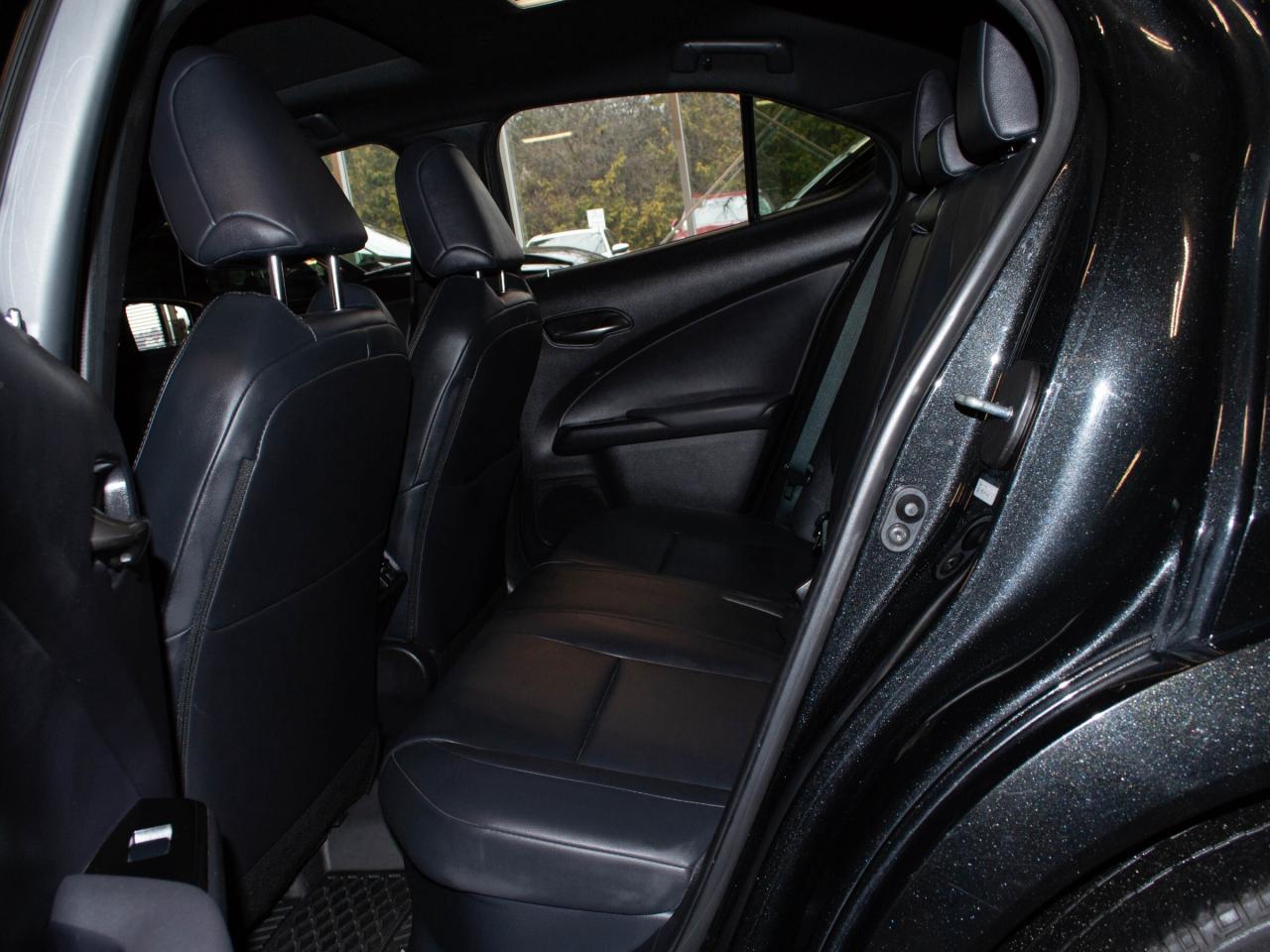 2024 Lexus UX 250H  Photo