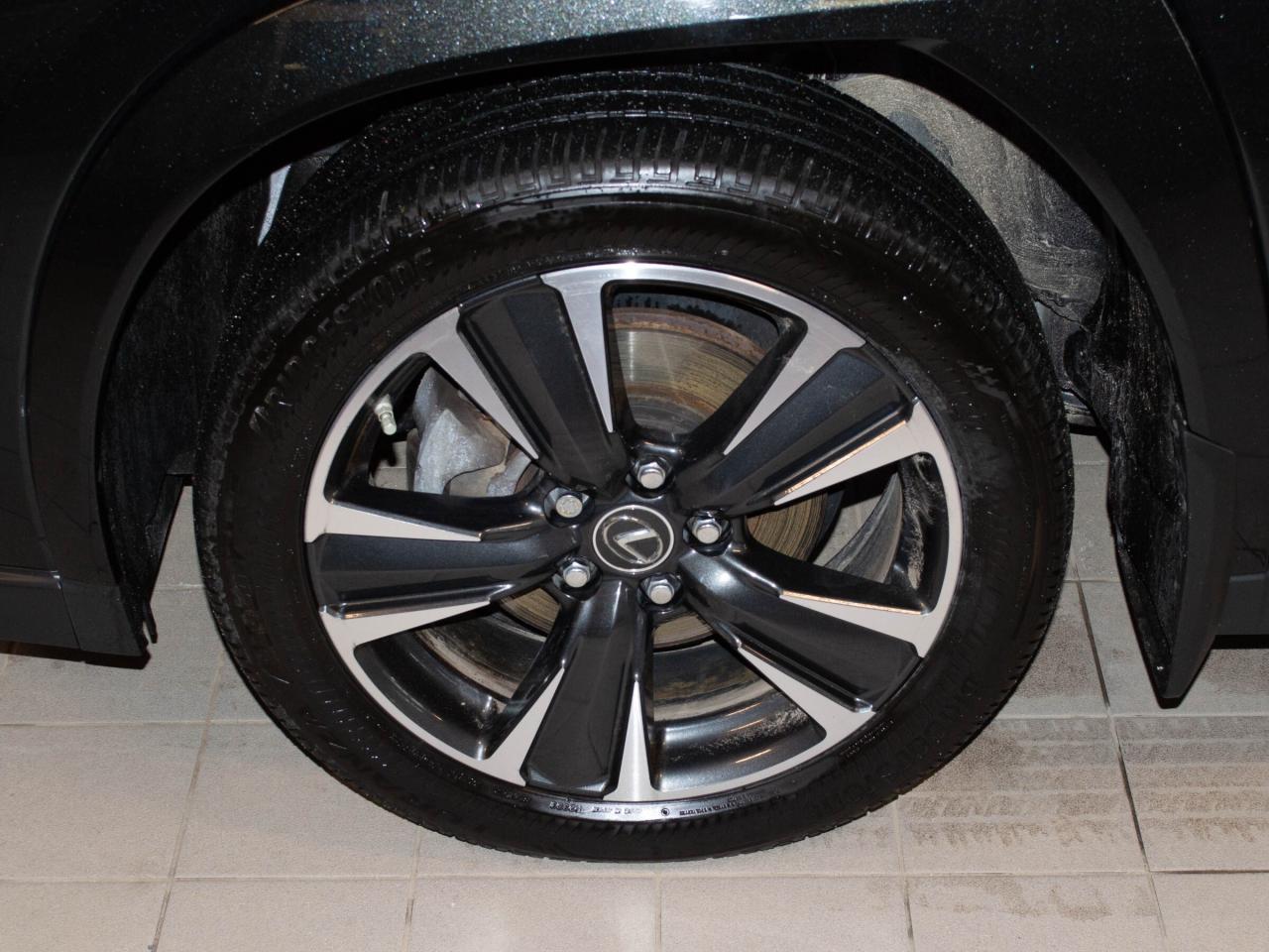 2024 Lexus UX 250H  Photo