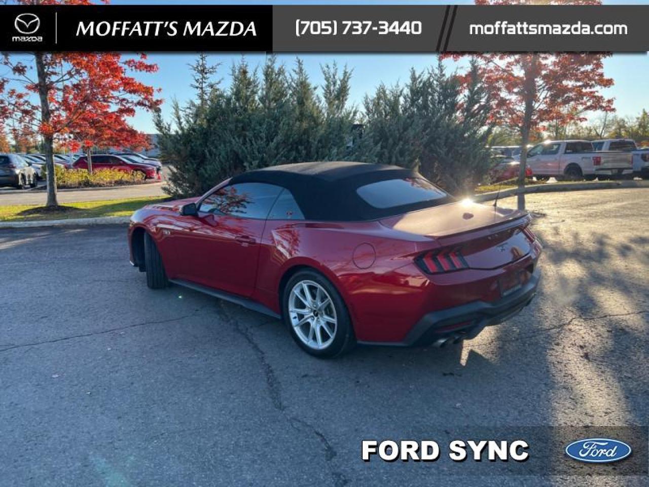 2024 Ford Mustang GT Premium Convertible Photo