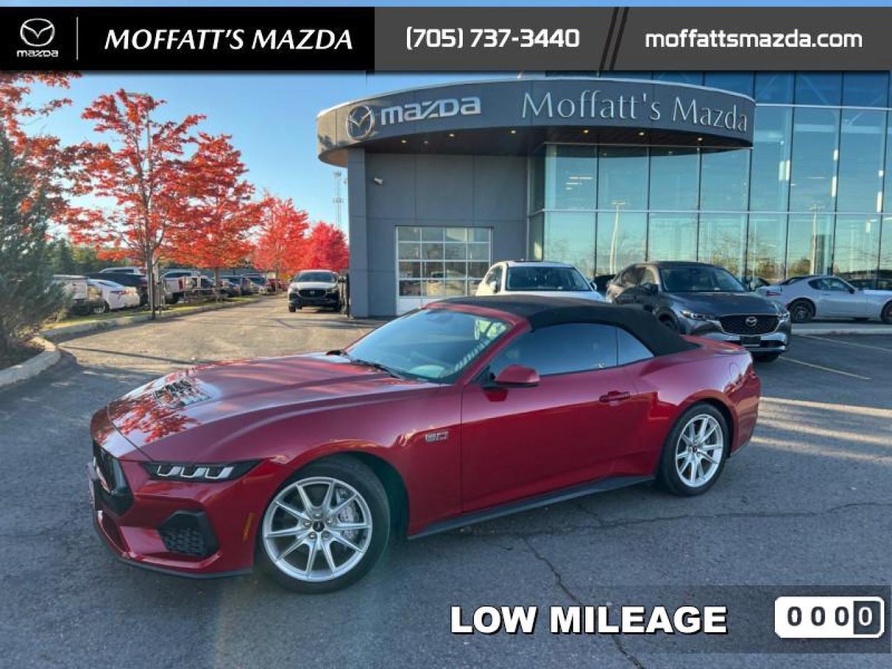 2024 Ford Mustang GT Premium Convertible Photo