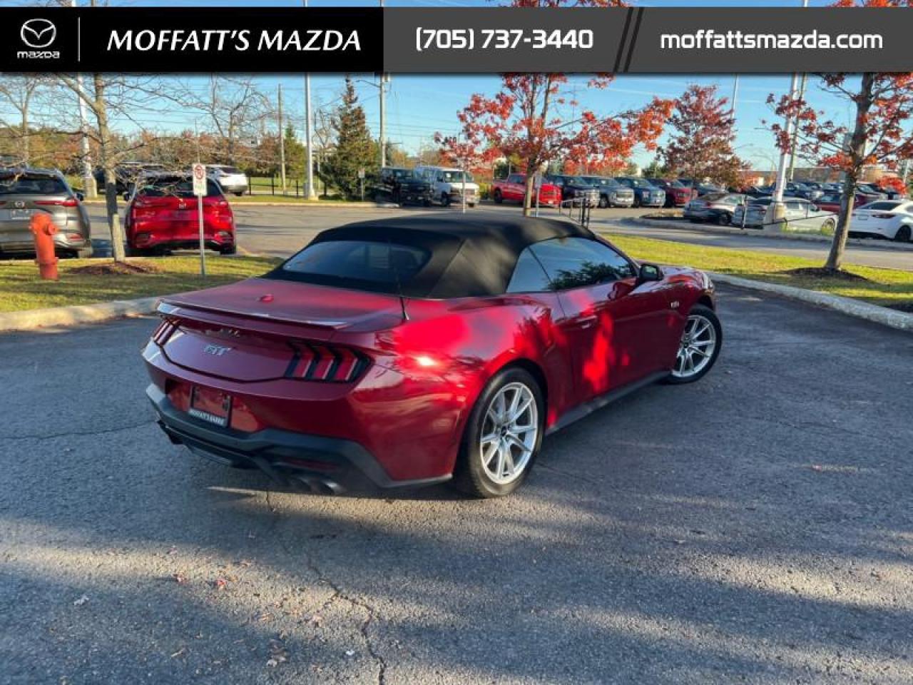 2024 Ford Mustang GT Premium Convertible Photo