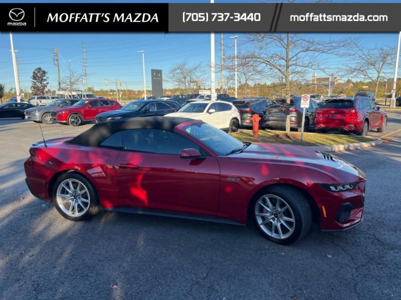 2024 Ford Mustang GT Premium Convertible Photo