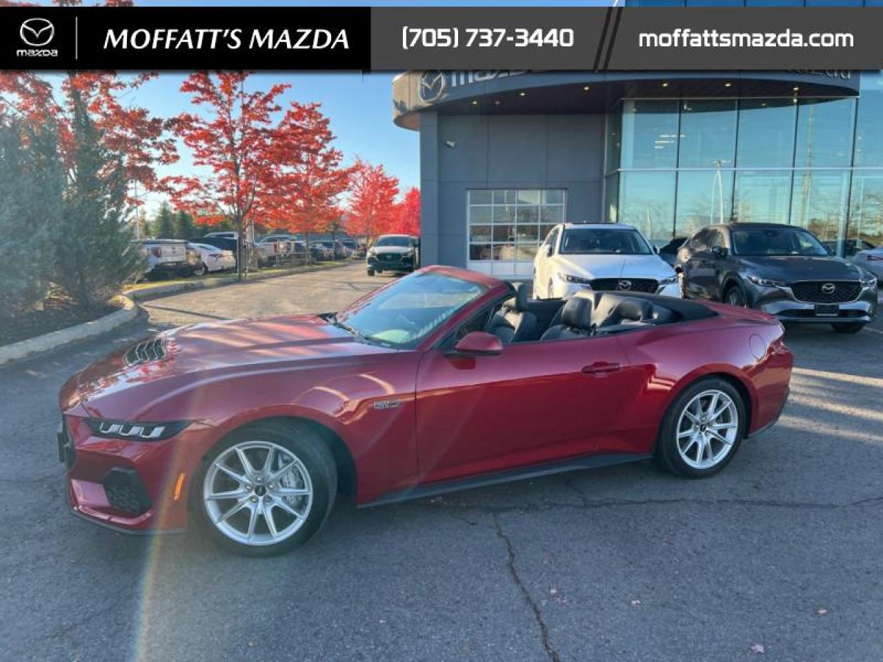 2024 Ford Mustang GT Premium Convertible Photo