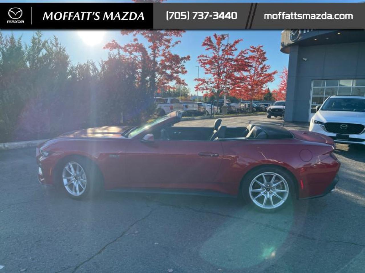 2024 Ford Mustang GT Premium Convertible Photo