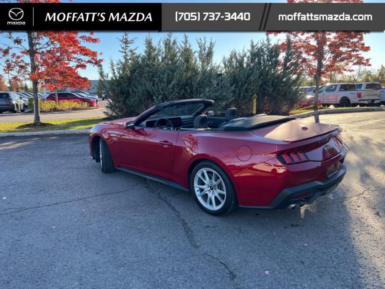 2024 Ford Mustang GT Premium Convertible Photo