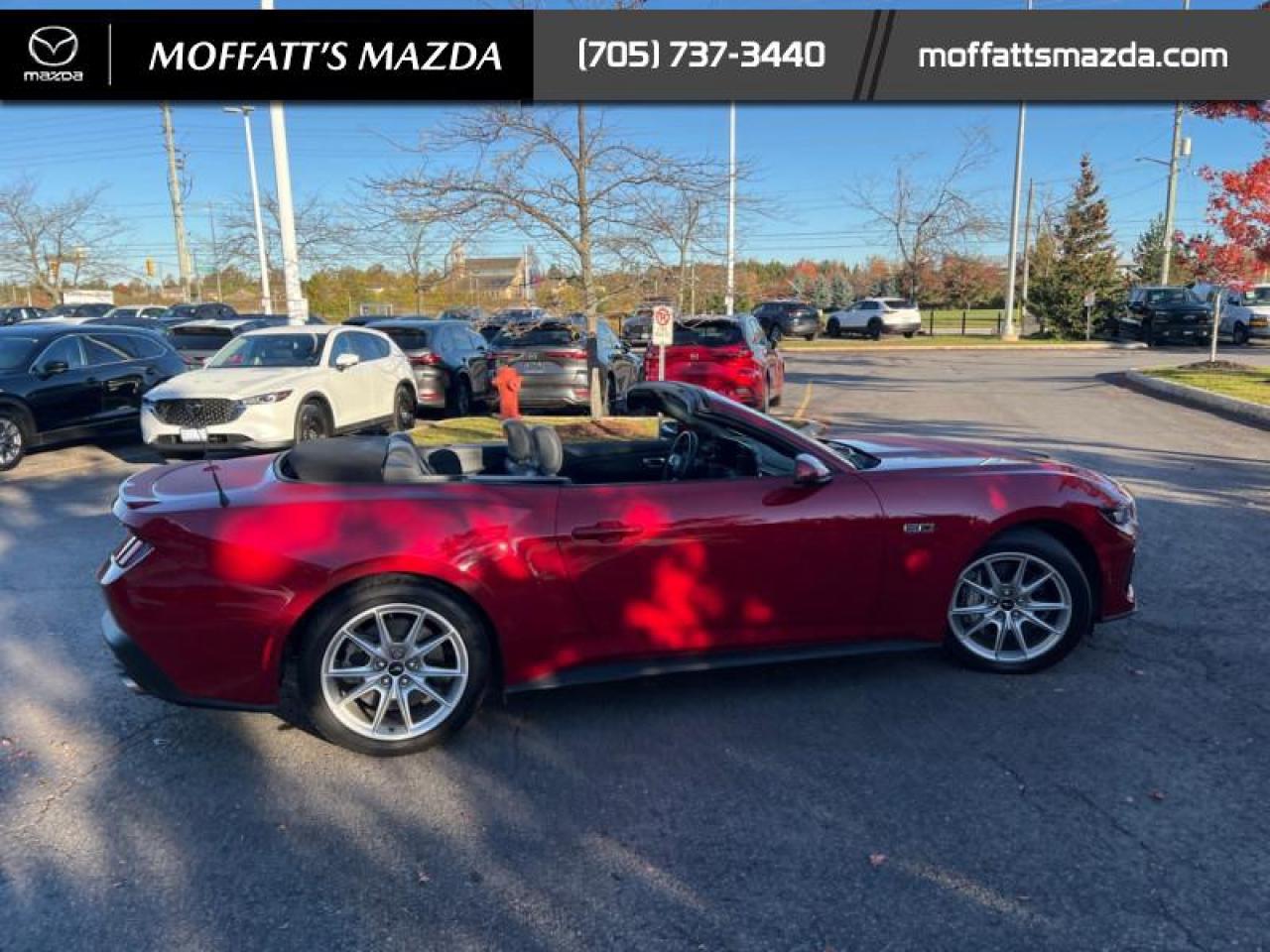 2024 Ford Mustang GT Premium Convertible Photo