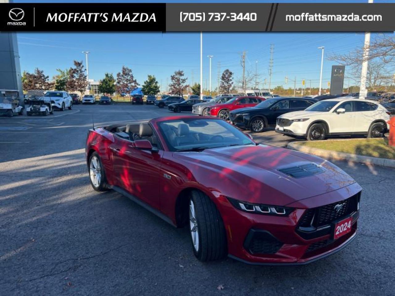 2024 Ford Mustang GT Premium Convertible Photo