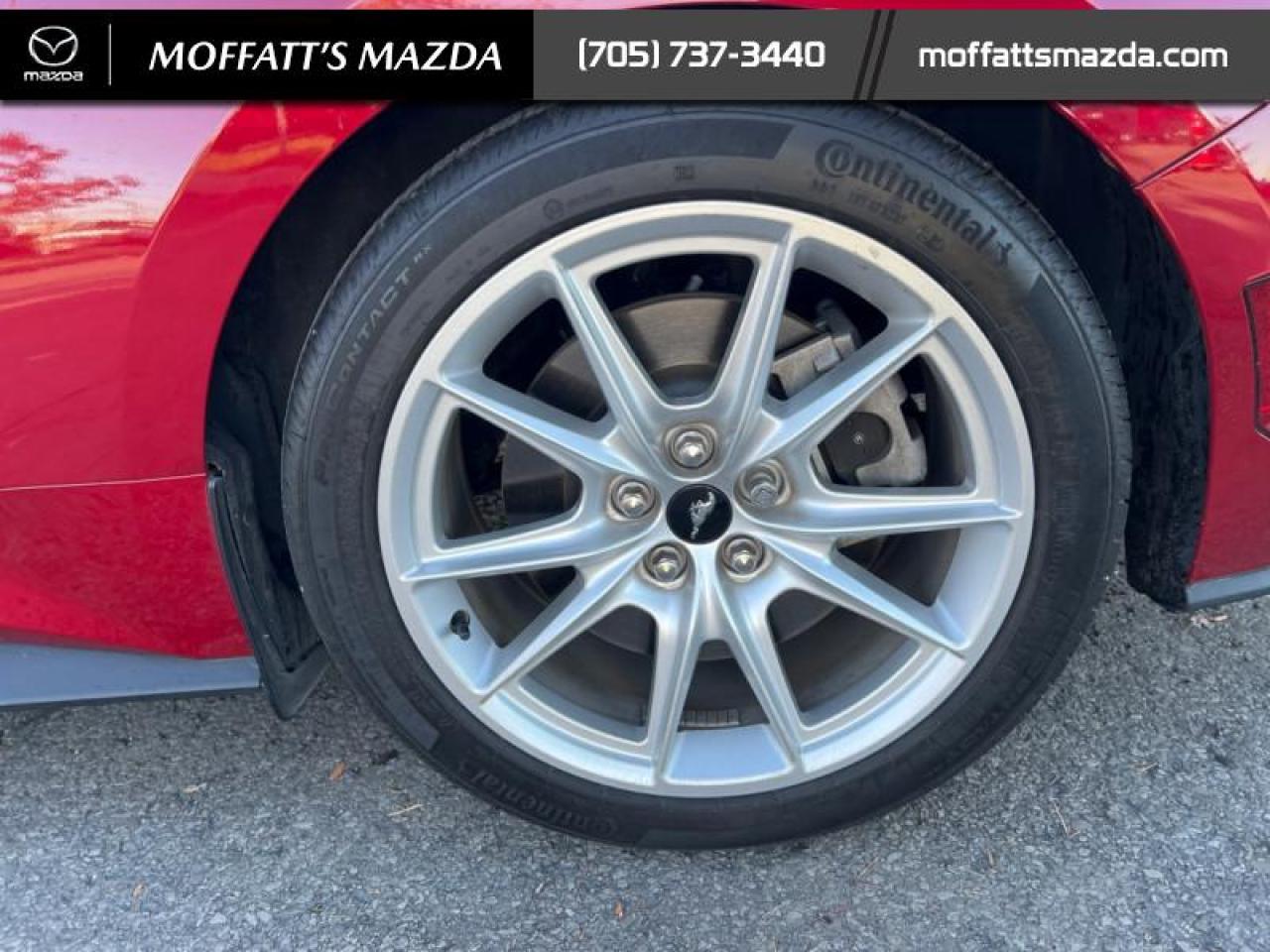 2024 Ford Mustang GT Premium Convertible Photo