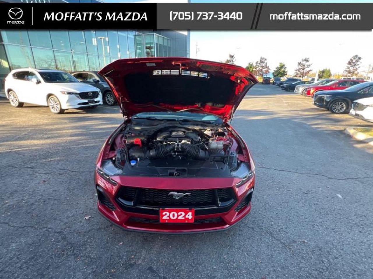 2024 Ford Mustang GT Premium Convertible Photo