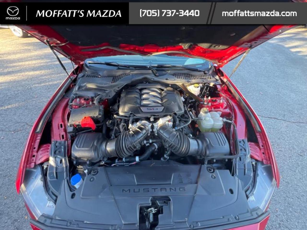 2024 Ford Mustang GT Premium Convertible Photo