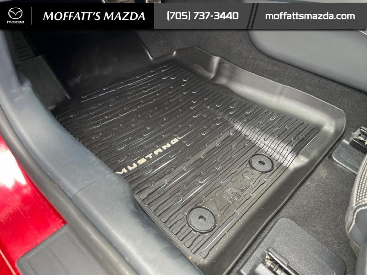 2024 Ford Mustang GT Premium Convertible Photo