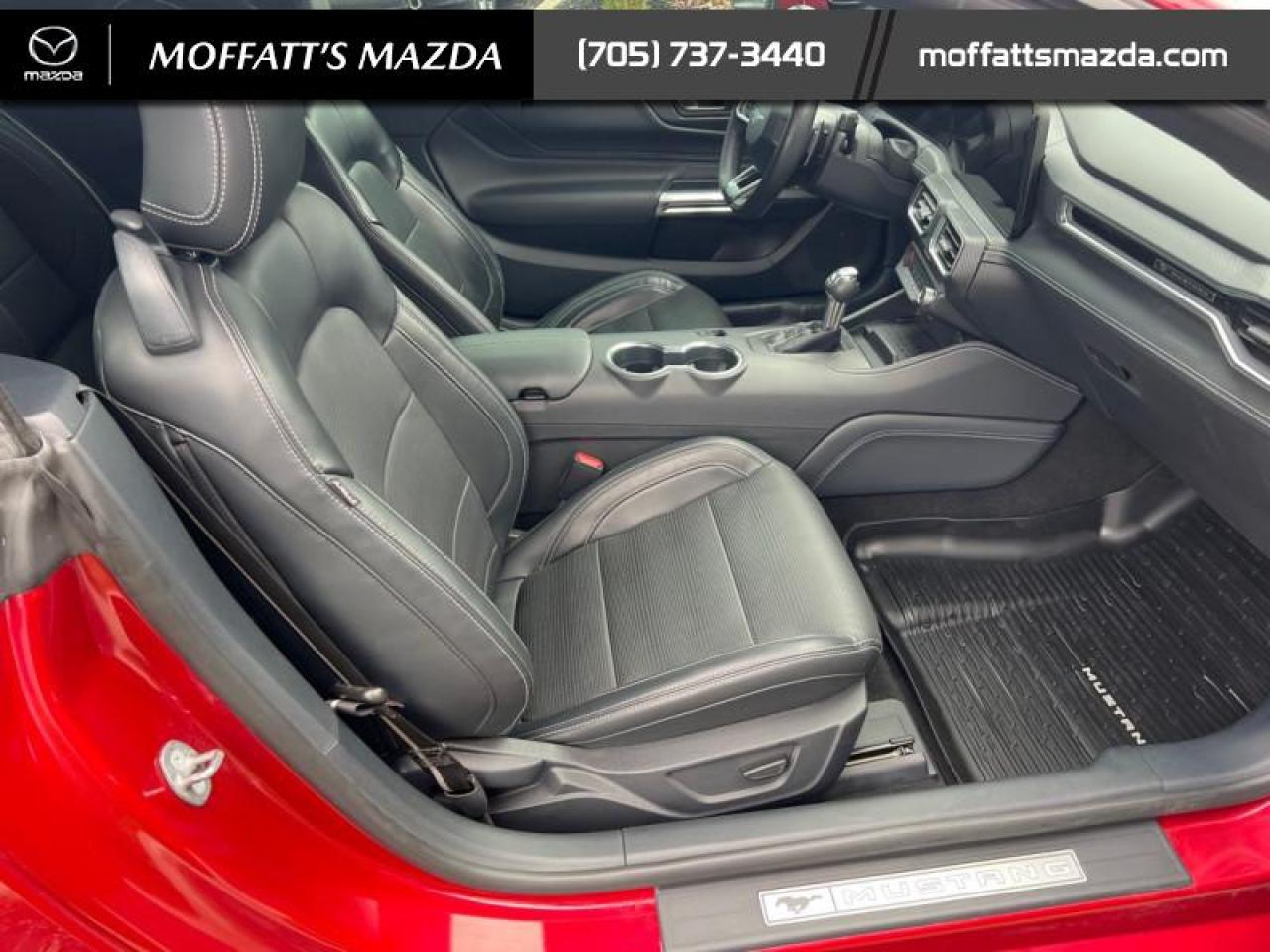 2024 Ford Mustang GT Premium Convertible Photo