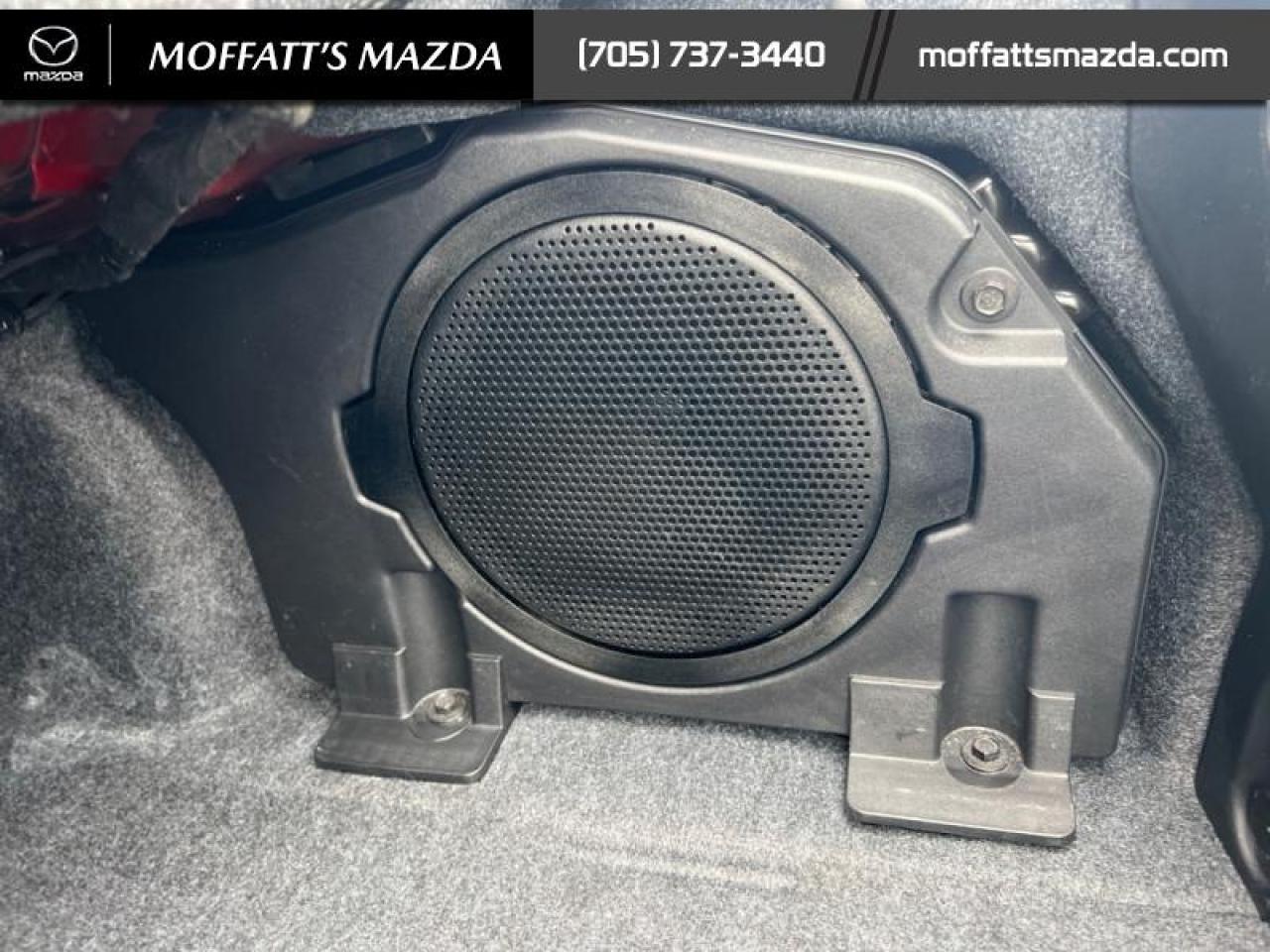 2024 Ford Mustang GT Premium Convertible Photo