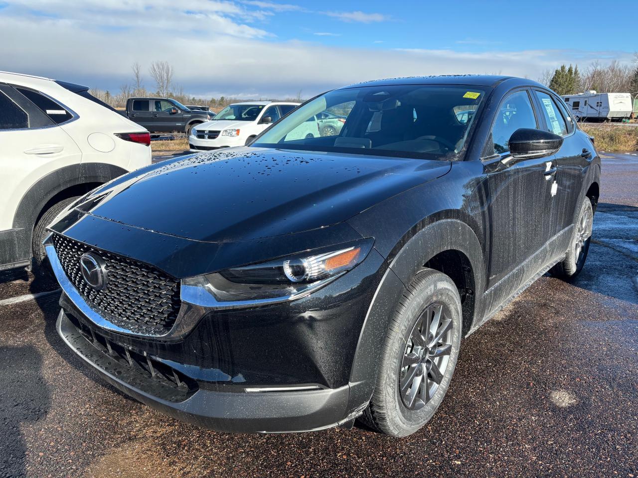 2025 Mazda CX-30 GX 4dr i-ACTIV All-Wheel Drive Sport Utility Photo0