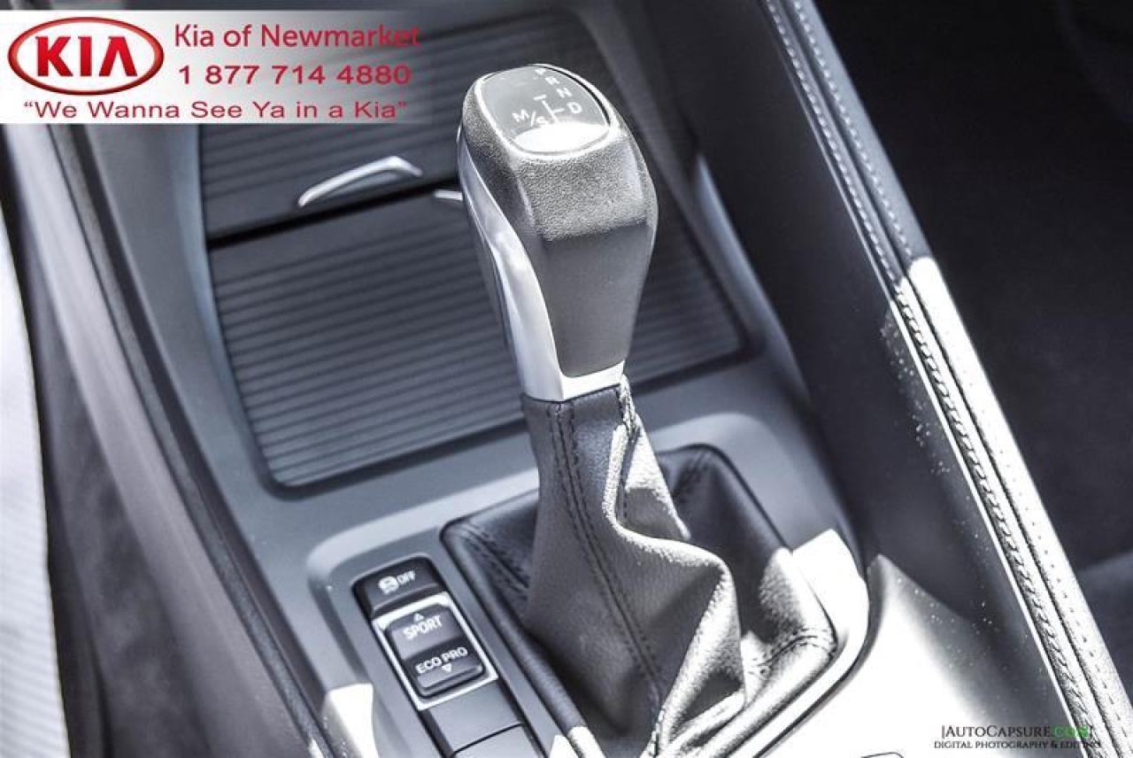 2017 BMW X1 xDrive28i 4dr All-wheel Drive Sports Activity Vehicle Photo