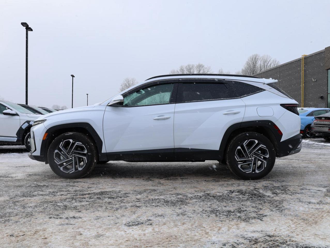 2025 Hyundai Tucson Hybrid  Photo4