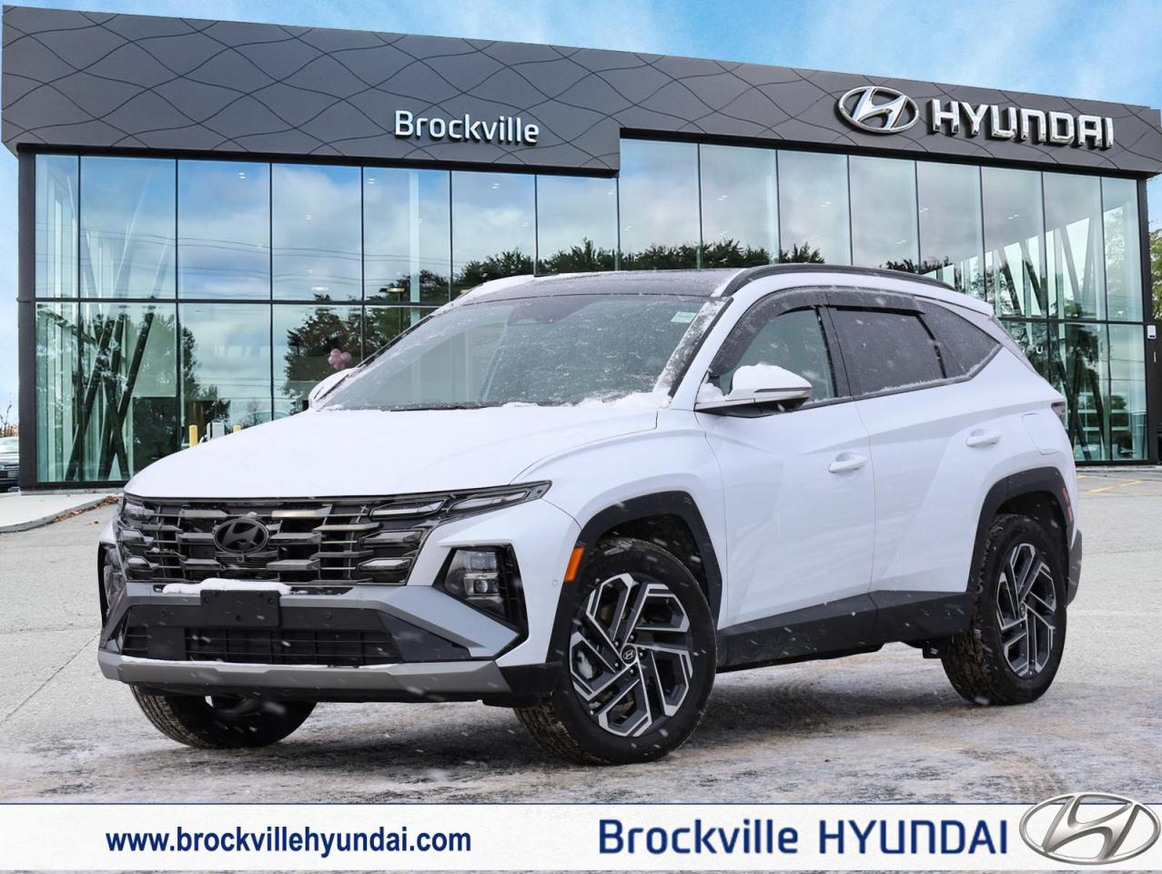 2025 Hyundai Tucson Hybrid  Photo0