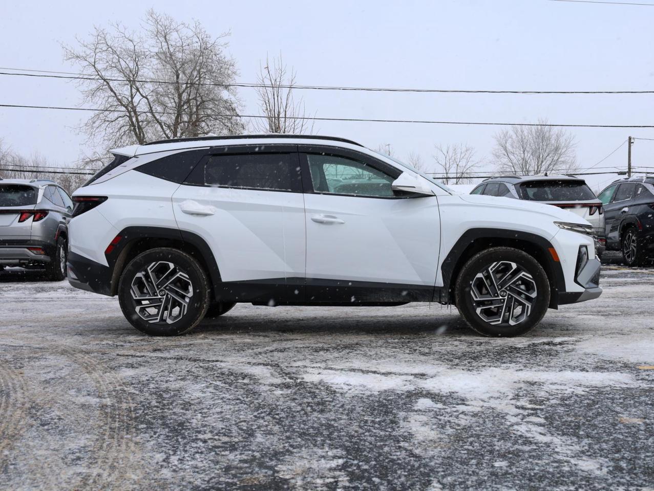 2025 Hyundai Tucson Hybrid  Photo2