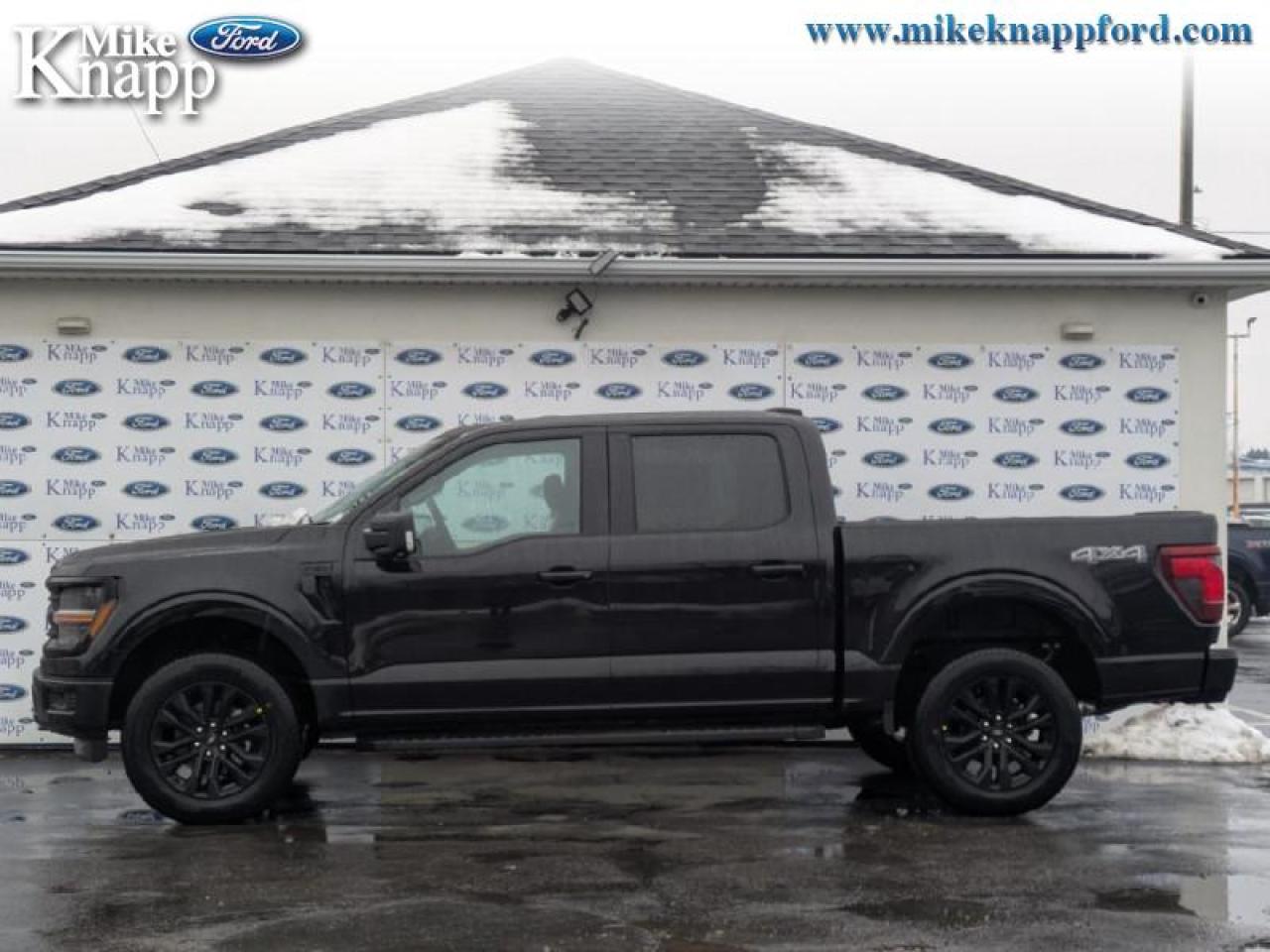 2026 Ford F-150 XLT Photo