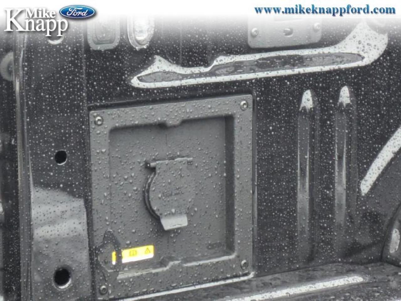 2026 Ford F-150 XLT Photo