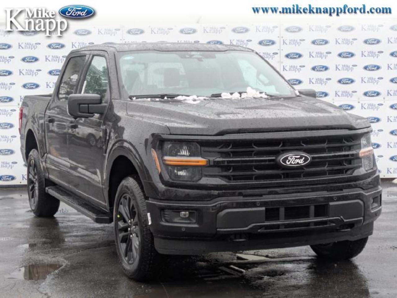 2026 Ford F-150 XLT Photo
