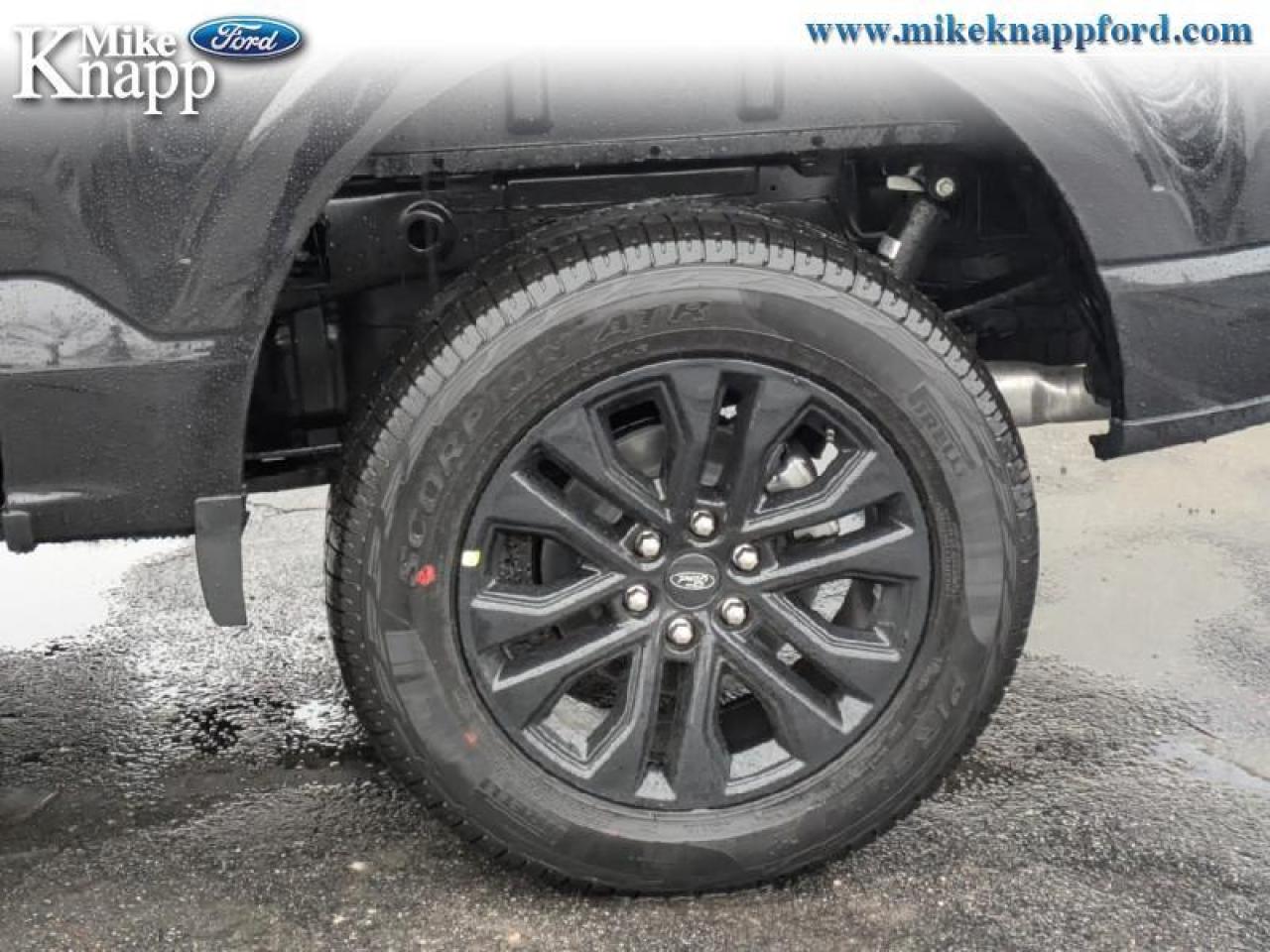 2026 Ford F-150 XLT Photo