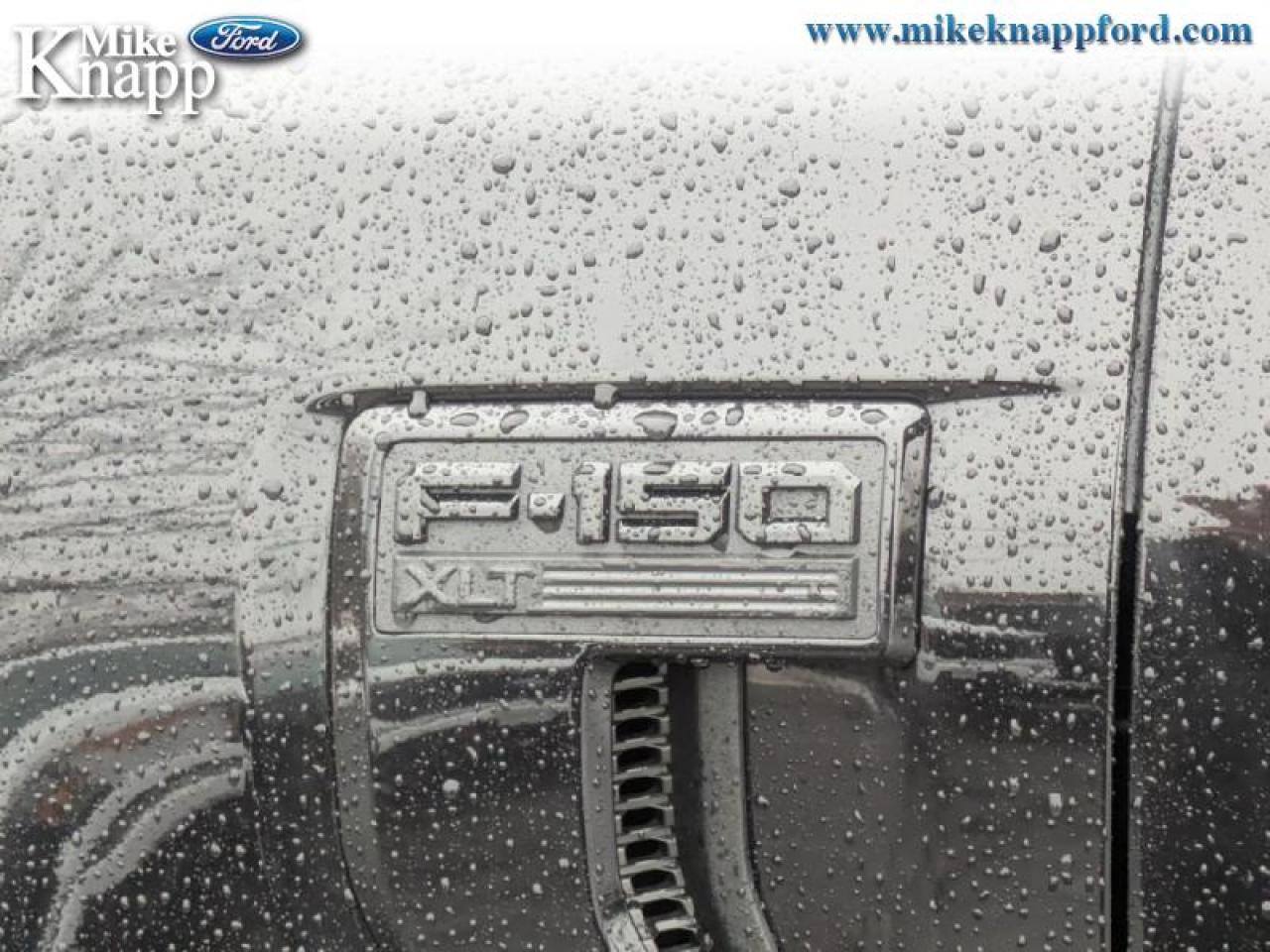 2026 Ford F-150 XLT Photo