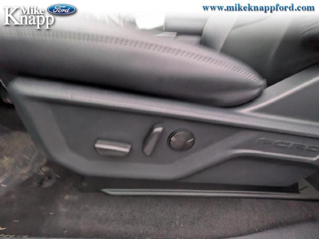 2026 Ford F-150 XLT Photo