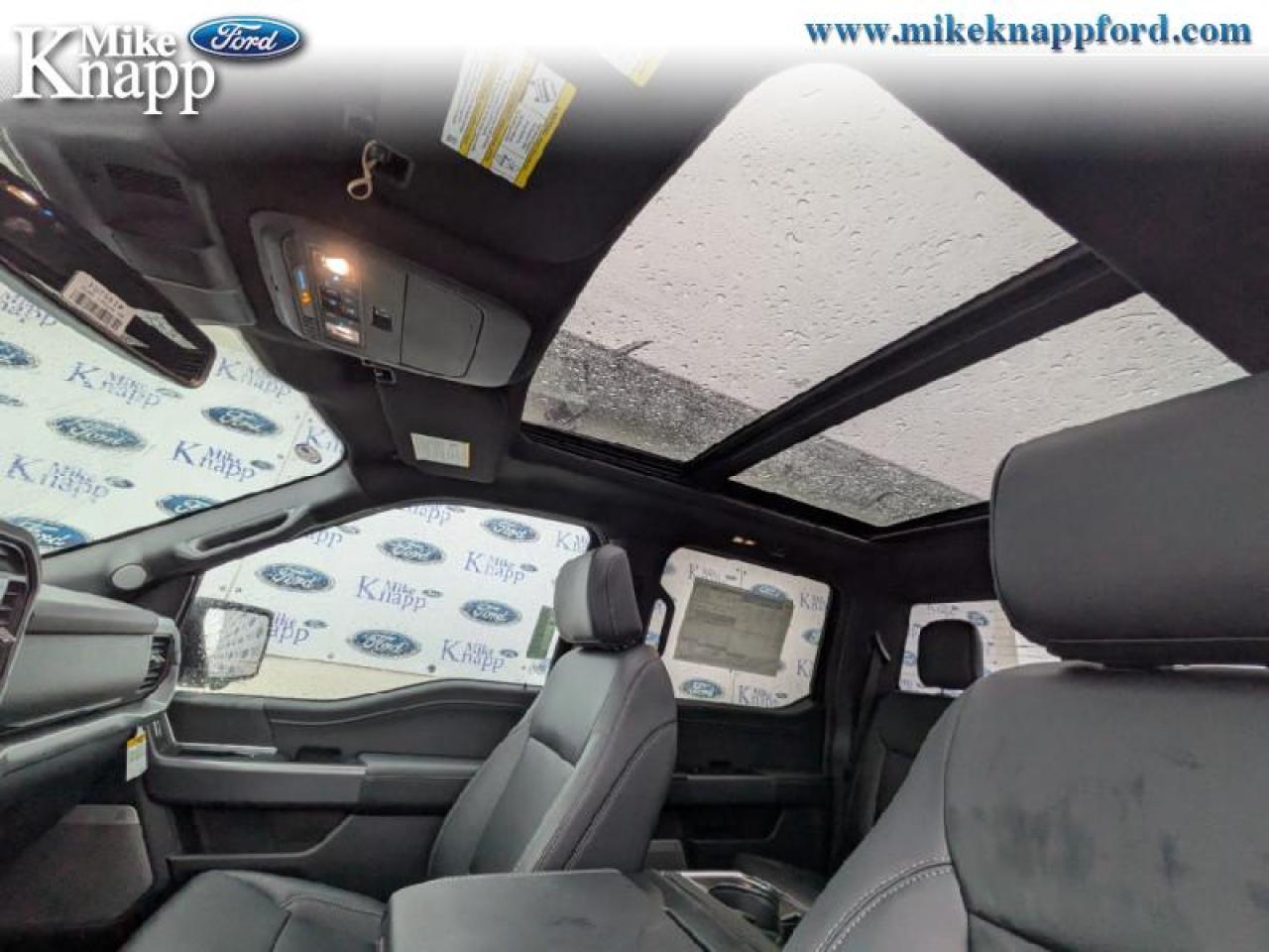 2026 Ford F-150 XLT Photo