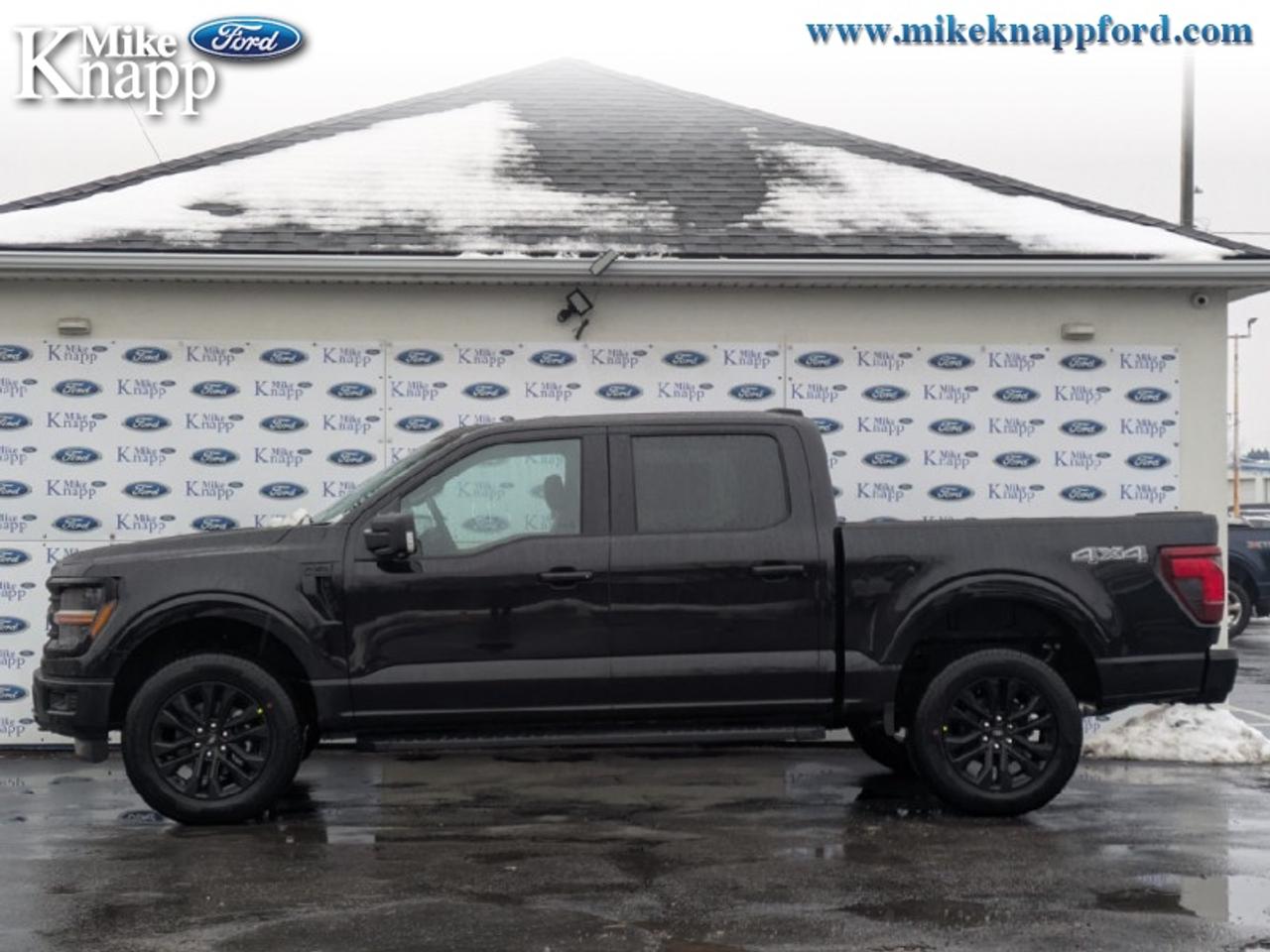 2026 Ford F-150 XLT Photo5