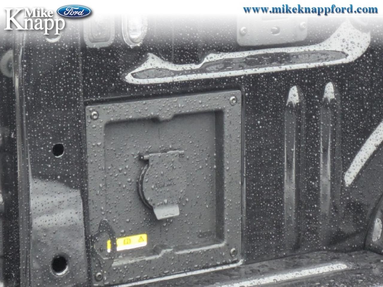 2026 Ford F-150 XLT Photo