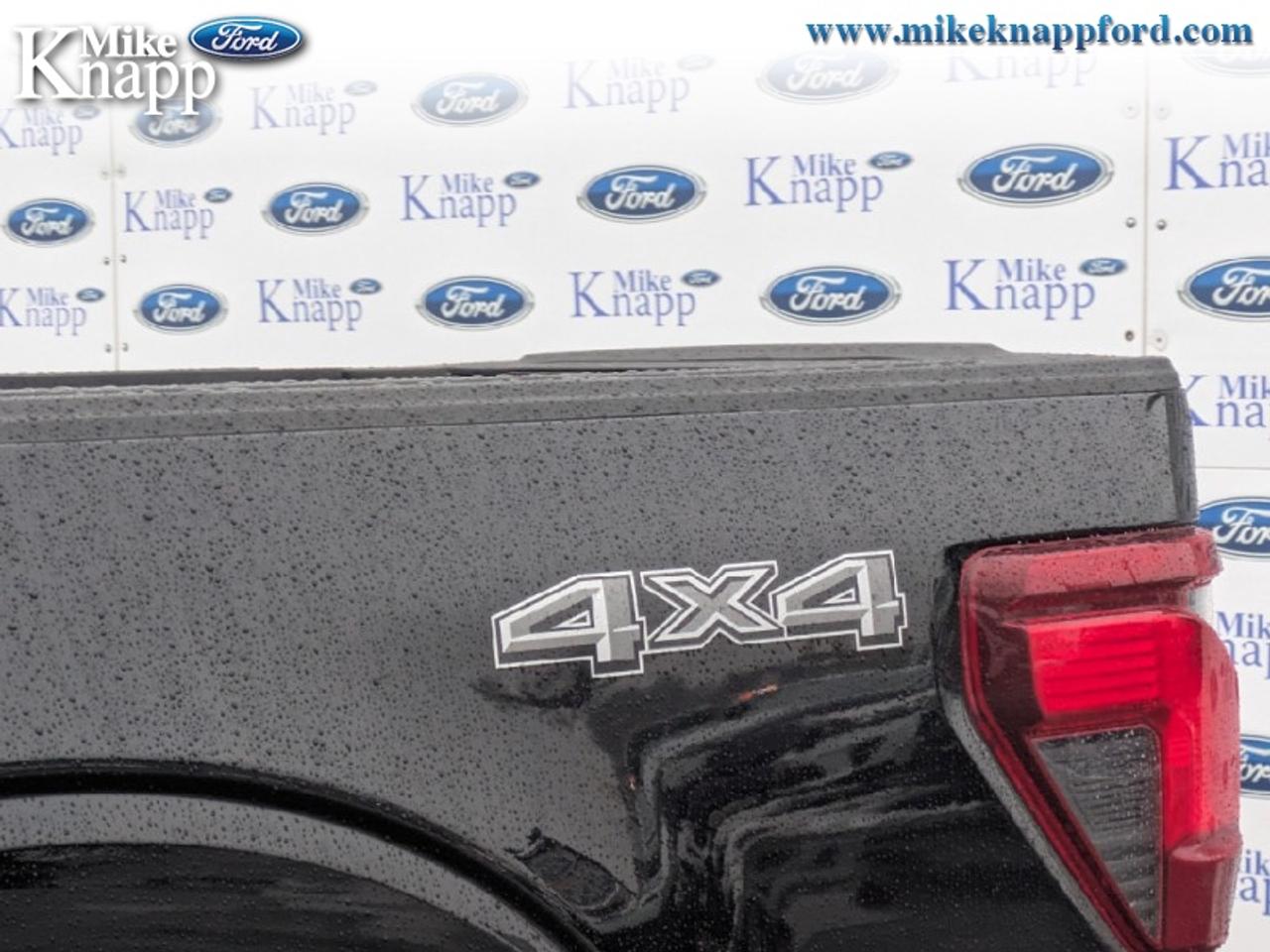 2026 Ford F-150 XLT Photo
