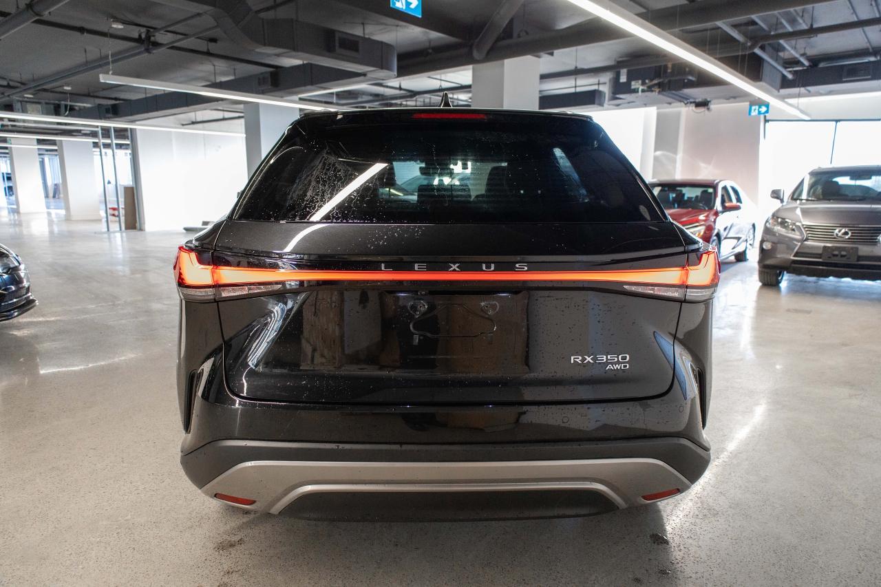 2024 Lexus RX RX 350 Auto Photo