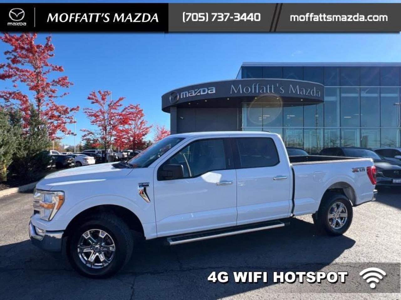 2022 Ford F-150 XLT Photo