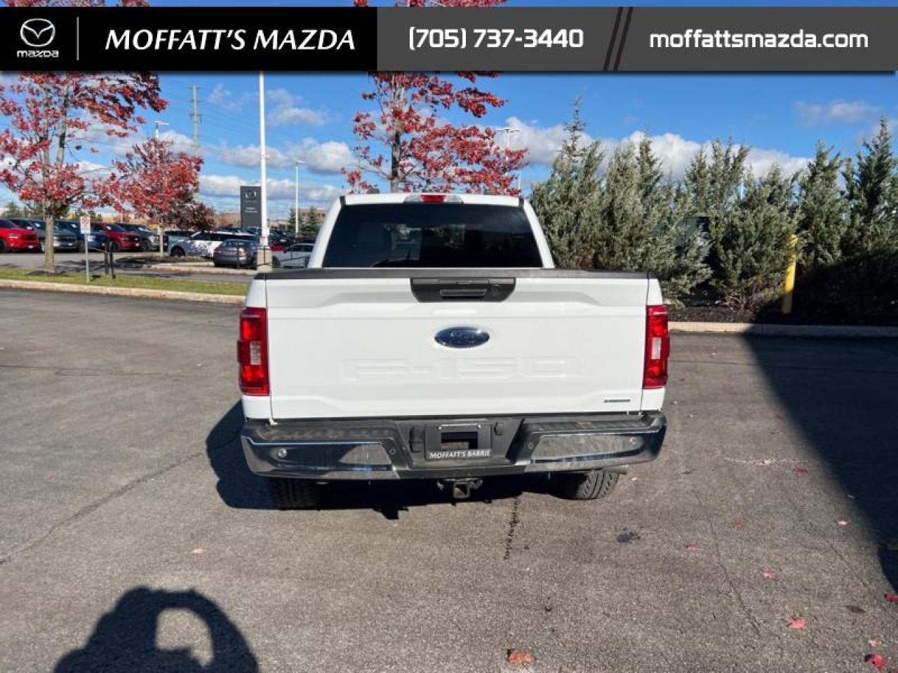 2022 Ford F-150 XLT Photo