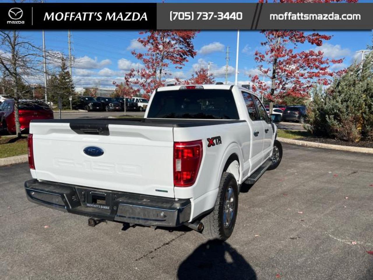 2022 Ford F-150 XLT Photo