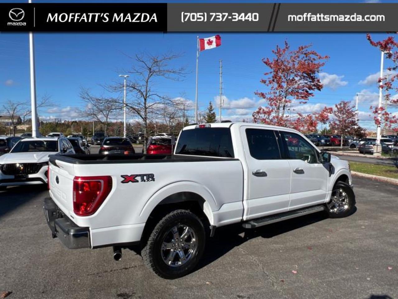 2022 Ford F-150 XLT Photo